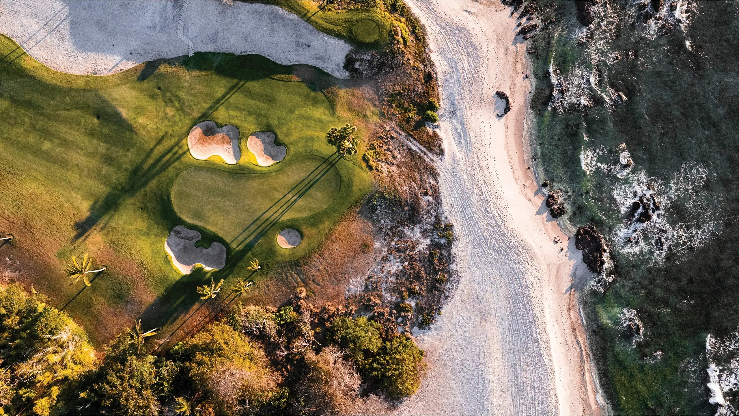Punta Mita Dine Informe Anual 2025