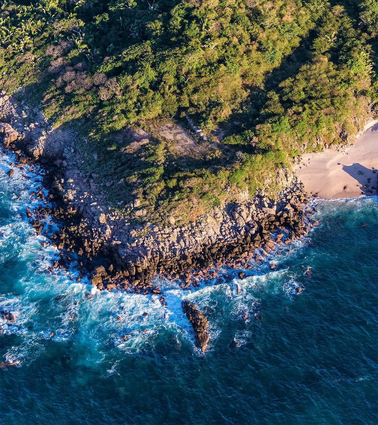 Punta Mita Dine Informe Anual 2025