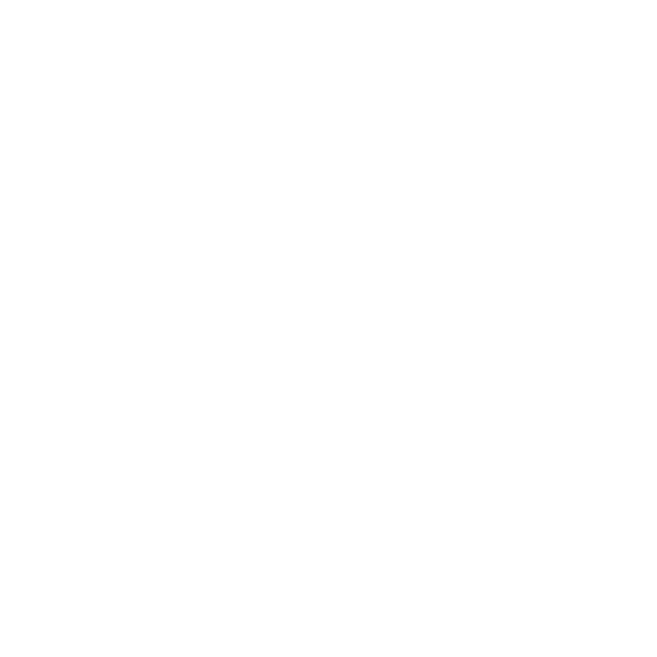 Logo Punta Gorda