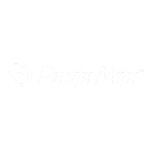 Logo Punta Mita
